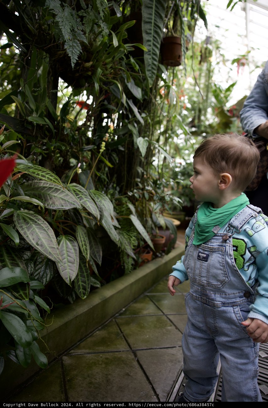 Young Explorers at the Golden Gate Park