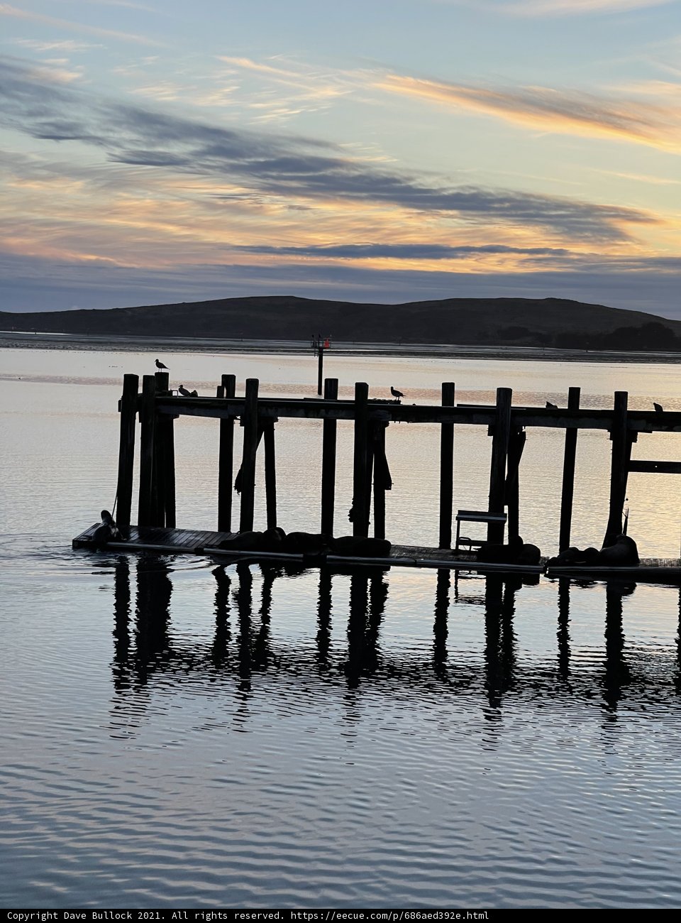 Serenity at Bodega Harbor