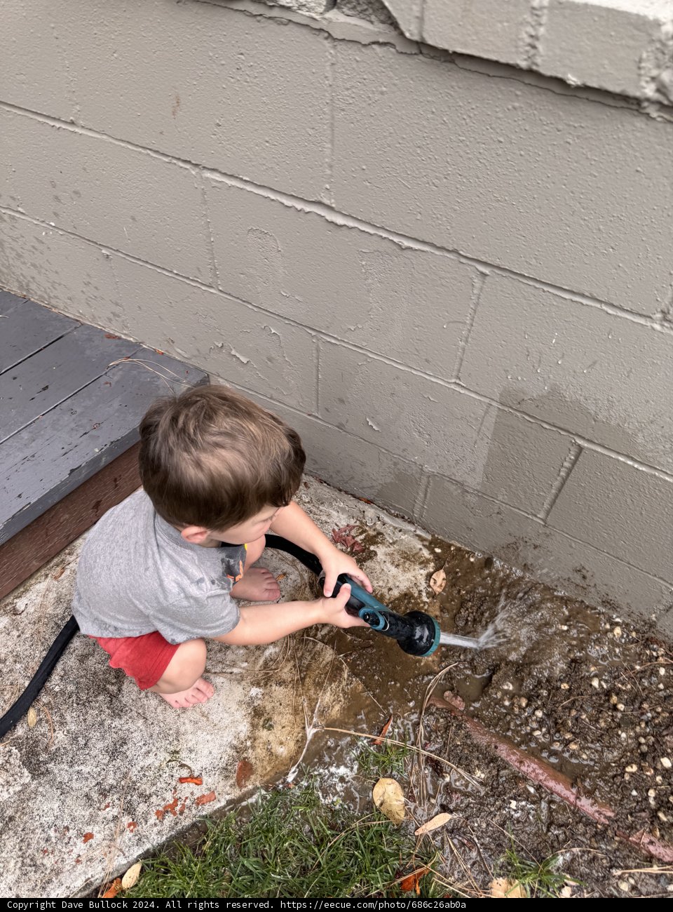 Little Adventurer at Play