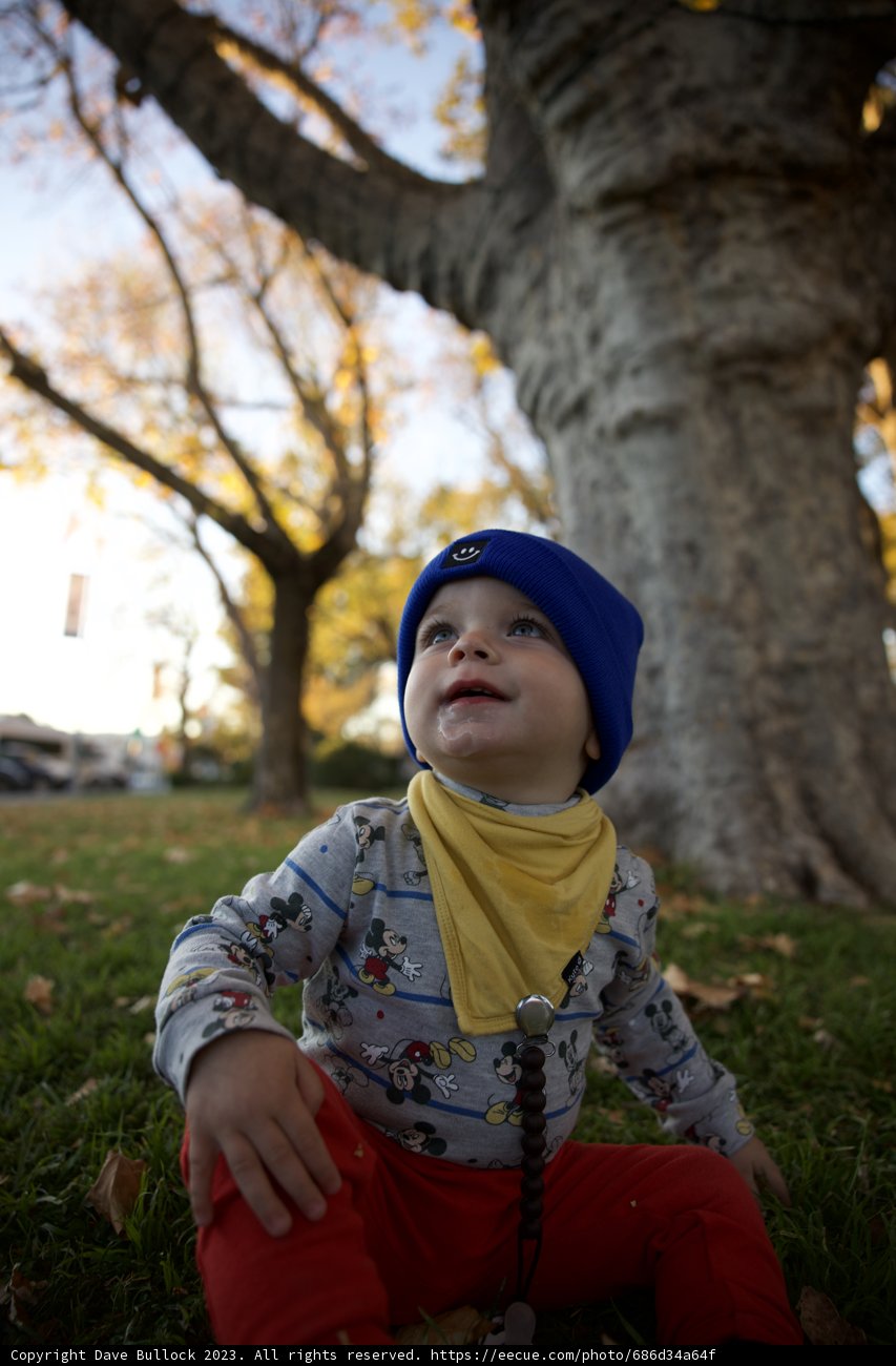 Baby Wesley in Downtown Sonoma