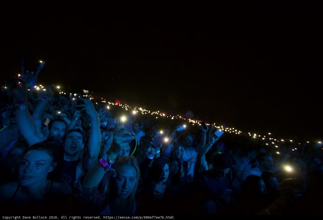 Lights Up in the Night
