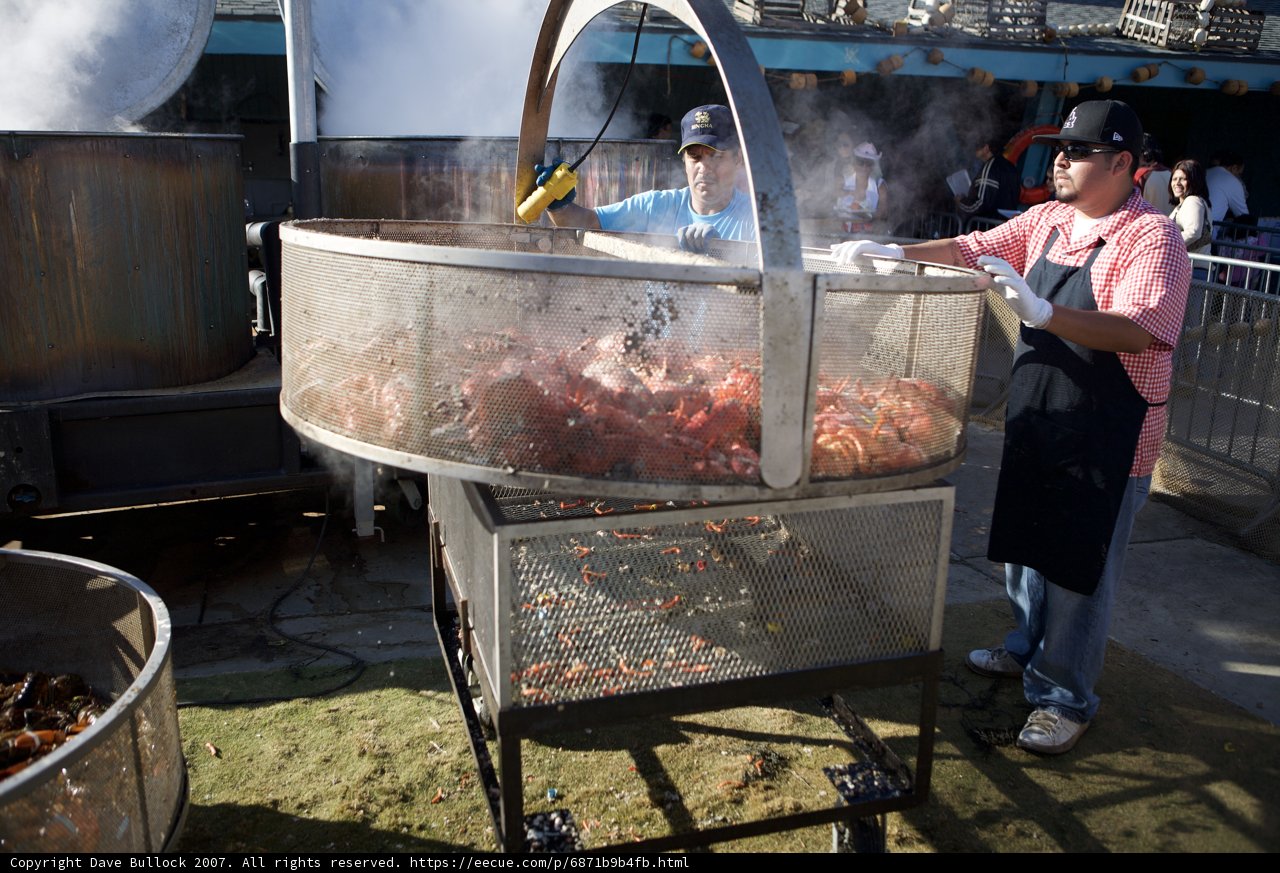 Grilling up a storm at the Lobster Festival
