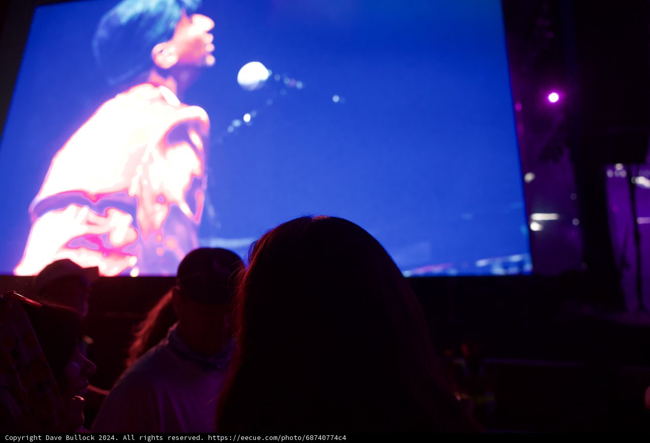 Electric Vibes: A Moment at Coachella 2024