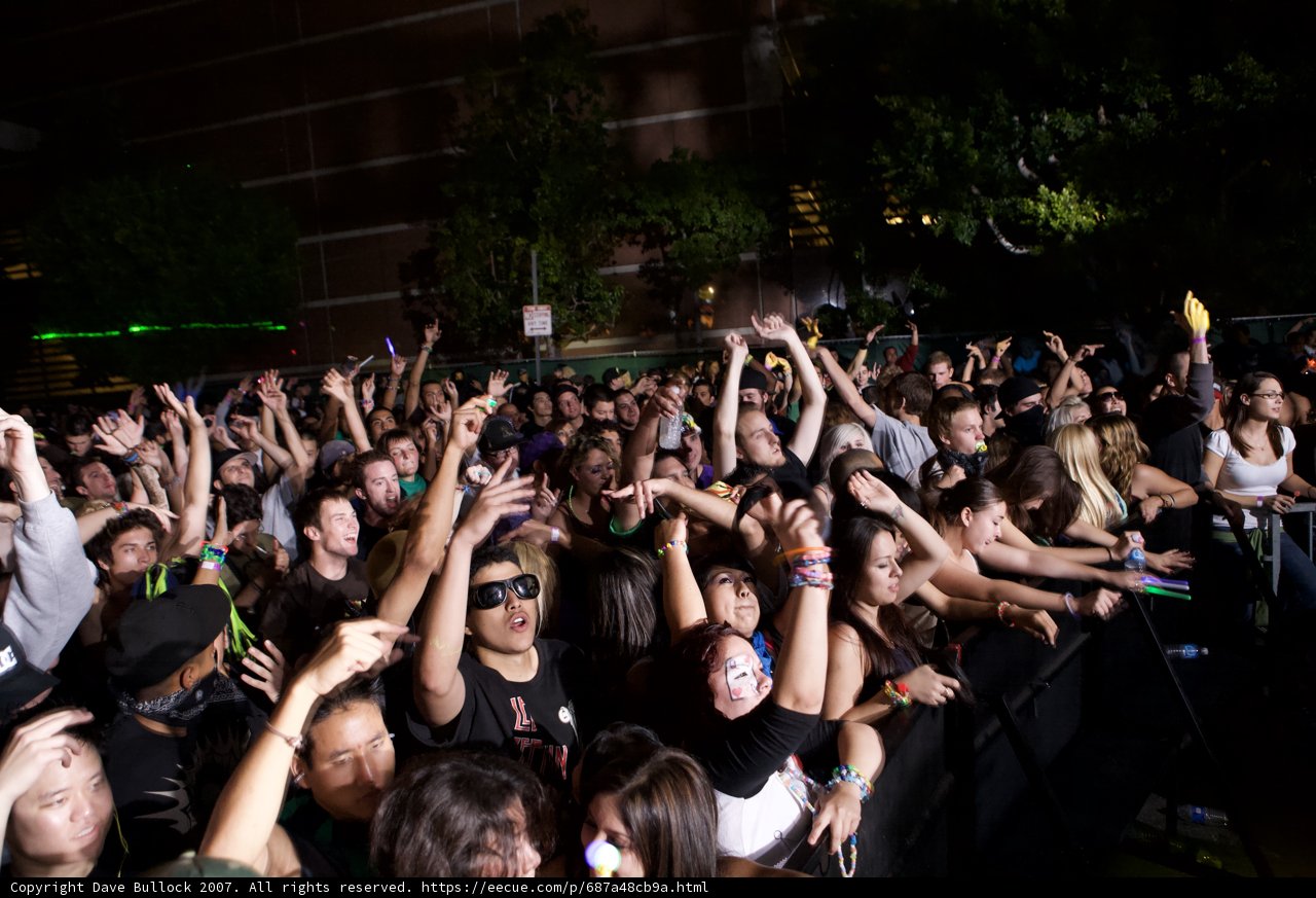 Nocturnal Concert Vibes