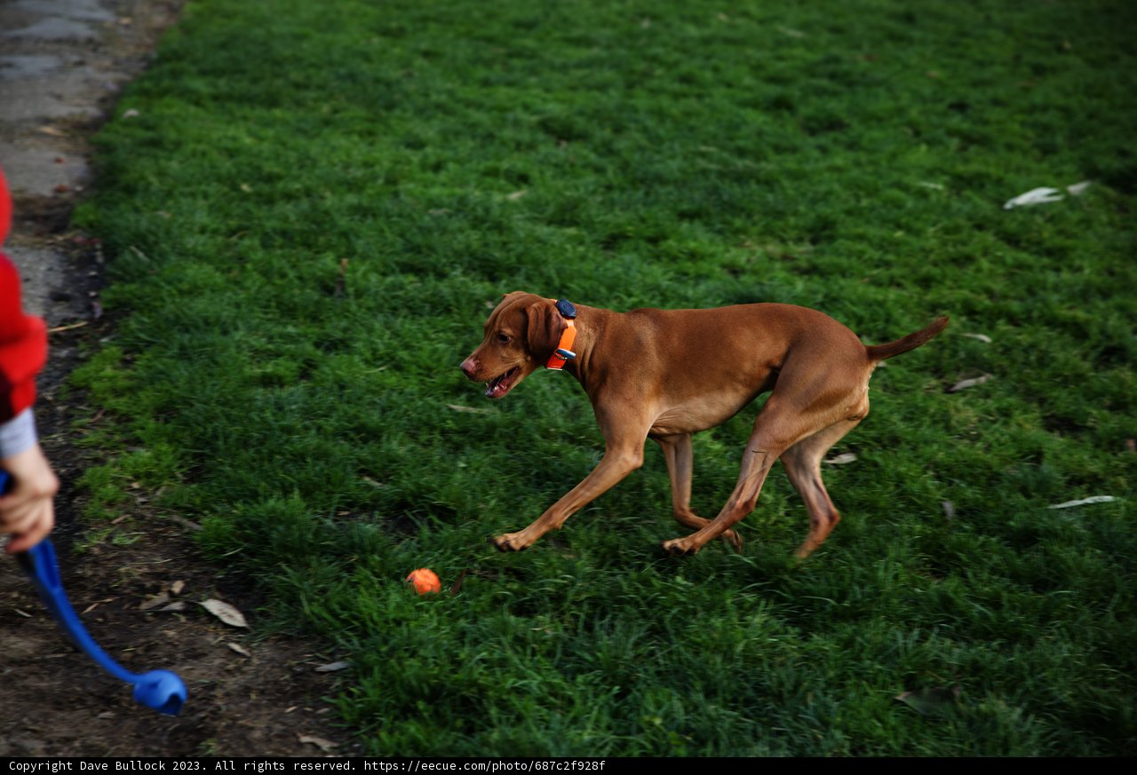 Playtime in the park