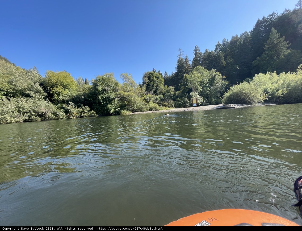 Paddling Through the Woodland River