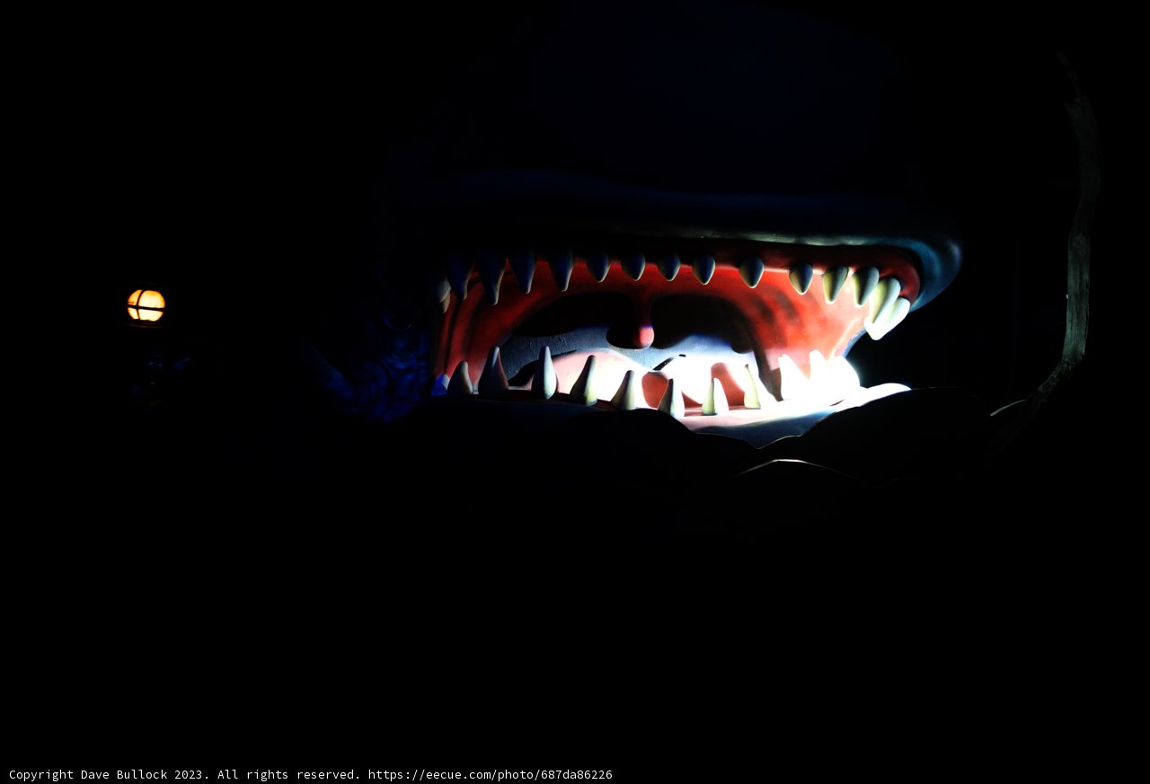 A Jaws-dropping Encounter
