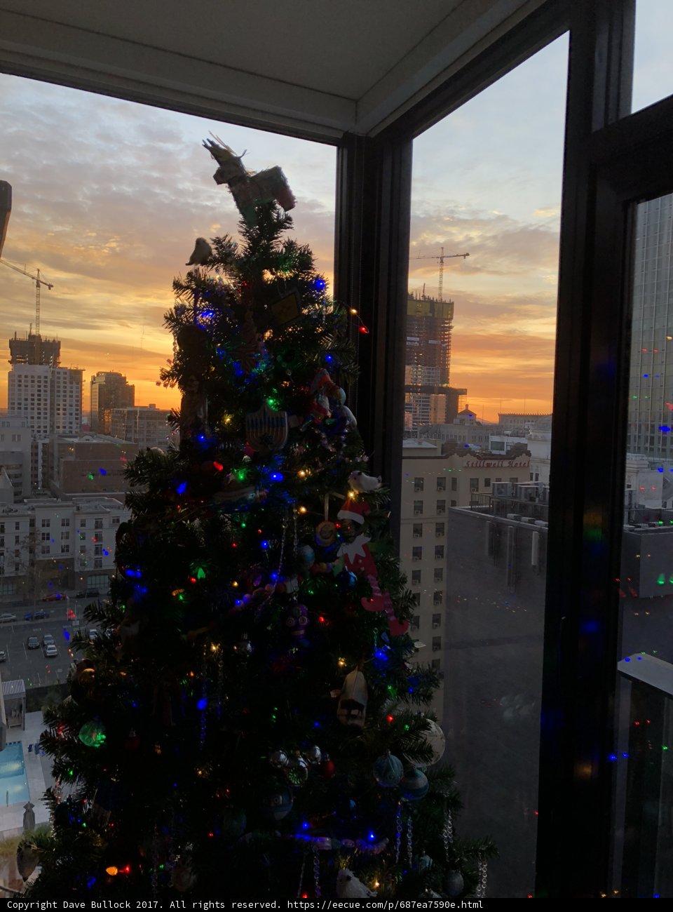 A Festive Fir in the City