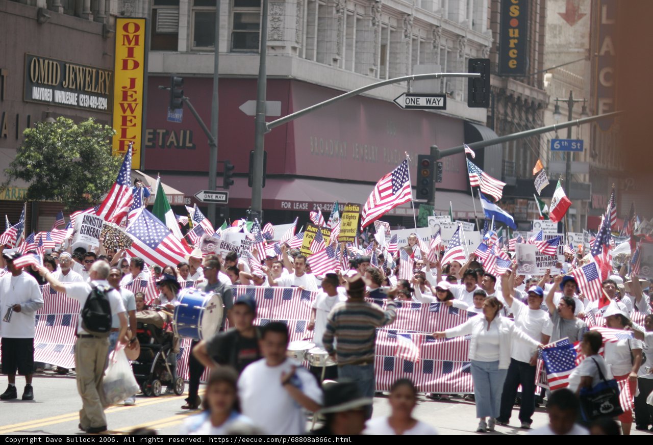 Patriotic Display