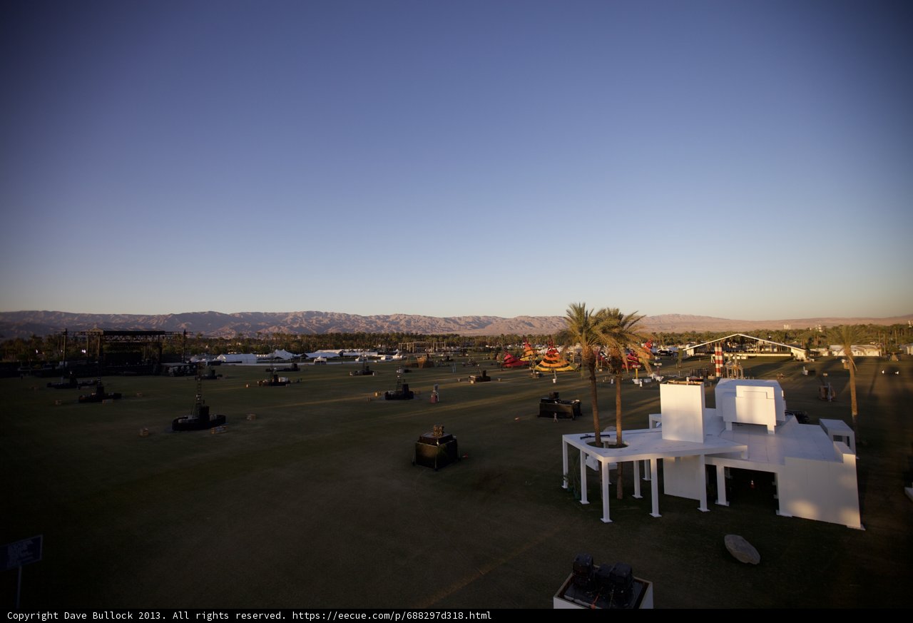 Palm Tree at Coachella Airfield