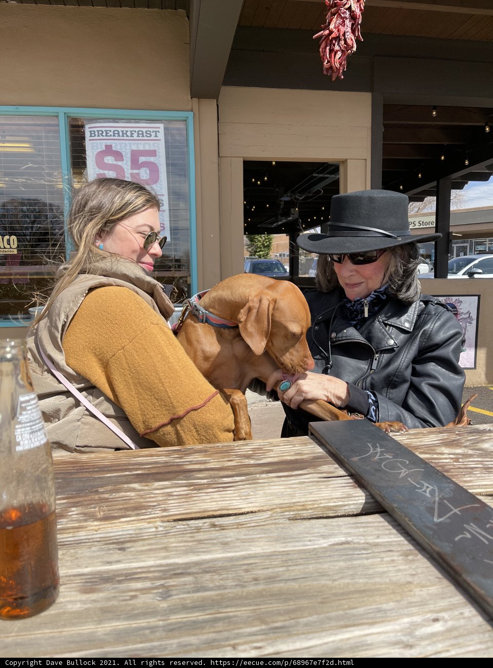 Black-hatted Woman and Her Furry Friend
