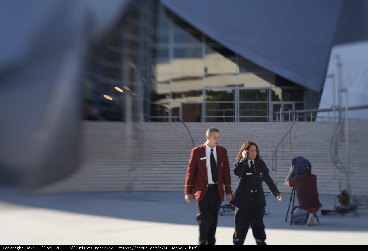 Formal Attire Stroll