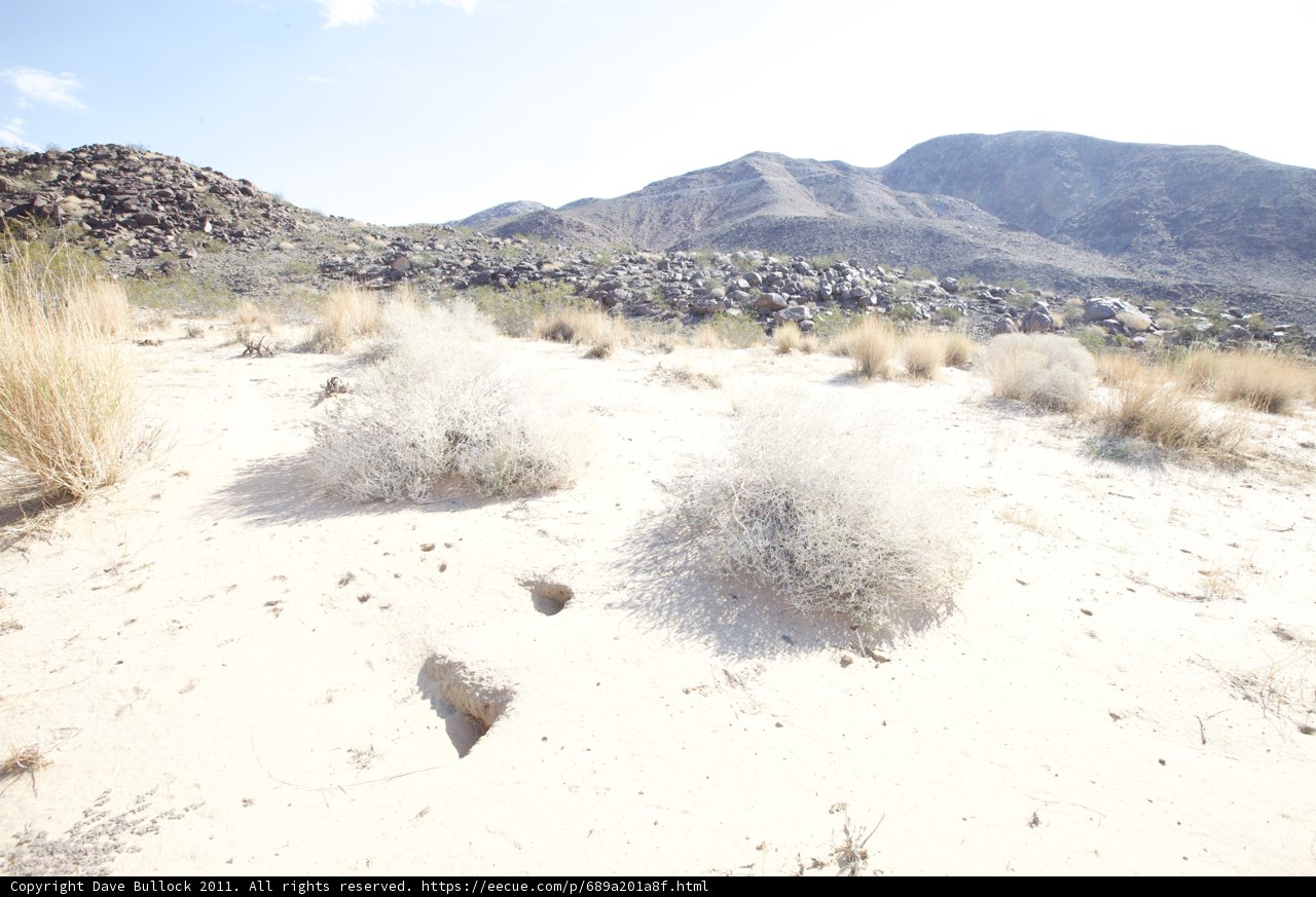 Majestic Mountain in a Desert Landscape