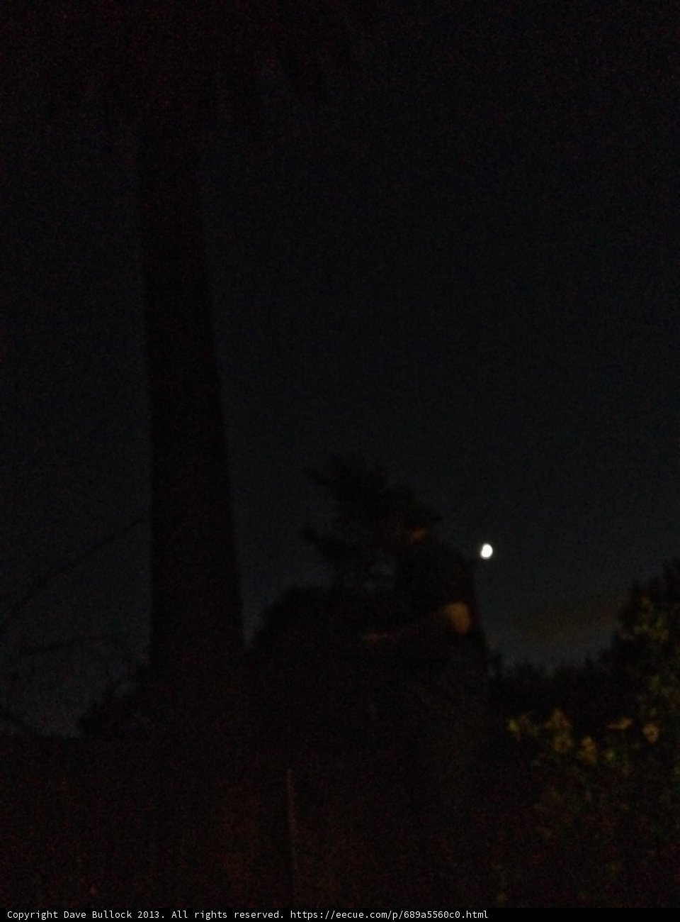 Nighttime Solitude Caption: A woman stands in peaceful solitude under a palm tree, illuminated by the gentle glow of the full moon amidst the starry night sky in Altadena, California.