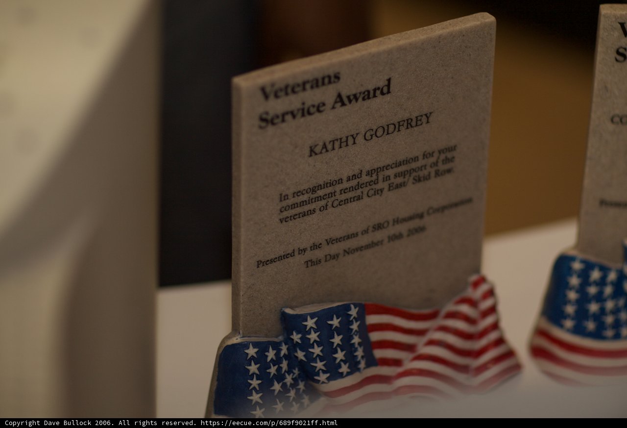 Honoring our Veterans
