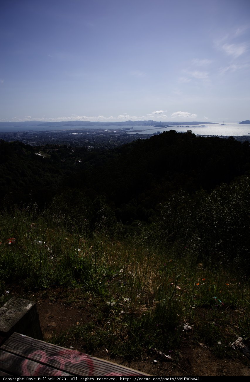 Thrilling Ride Down the Berkeley Hills