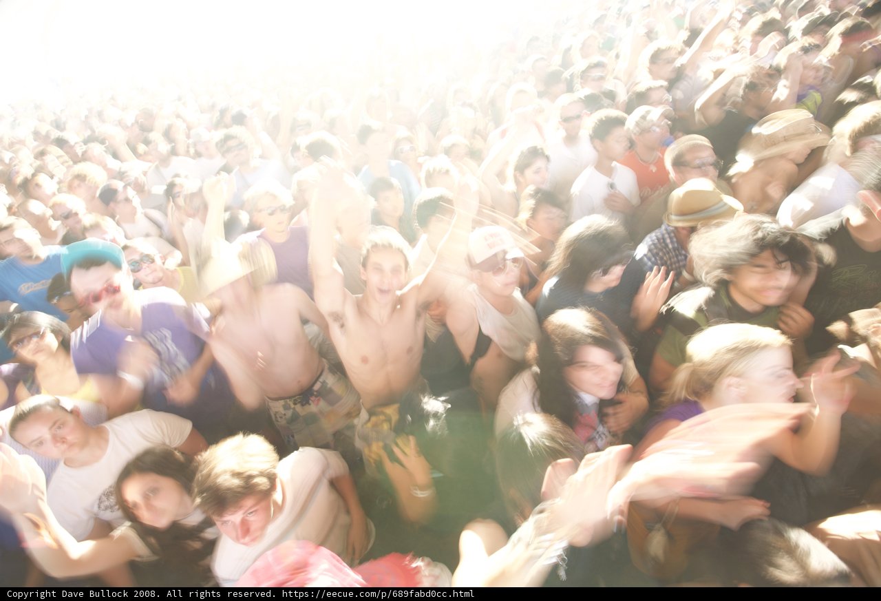 Coachella Crowd Vibes