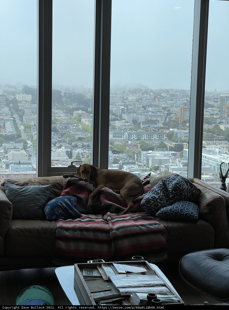 Relaxing in Style