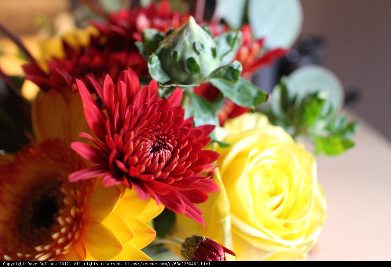 A Beautifully Arranged Bouquet of Flowers
