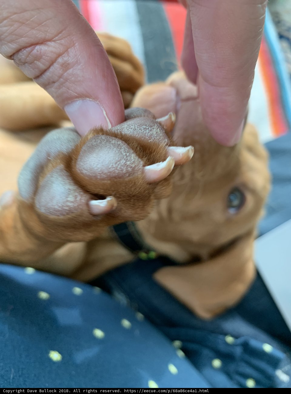 The Touch of Love