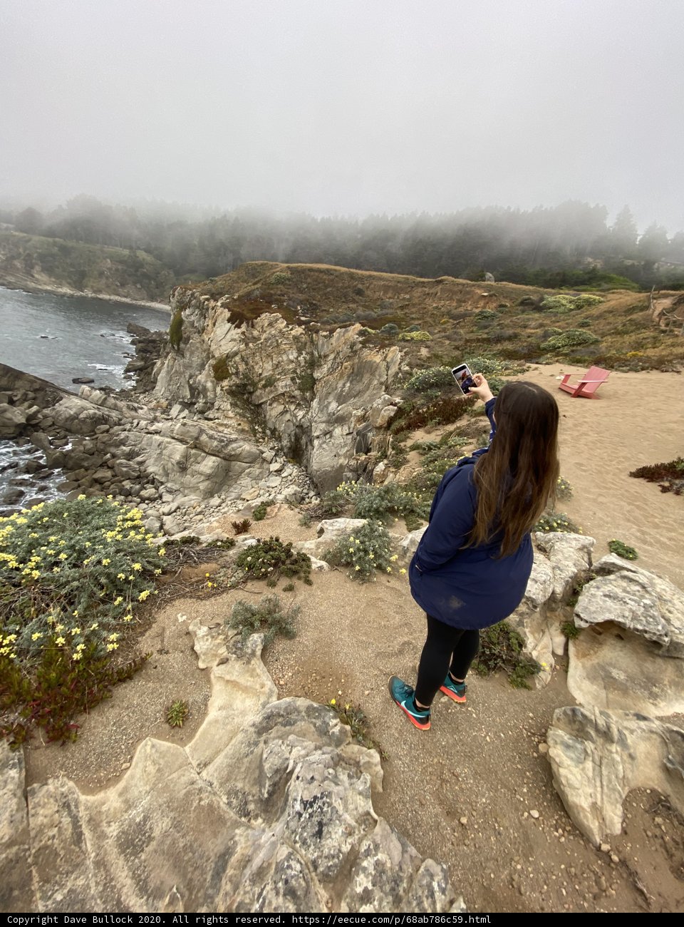 Capturing the Beauty of Nature