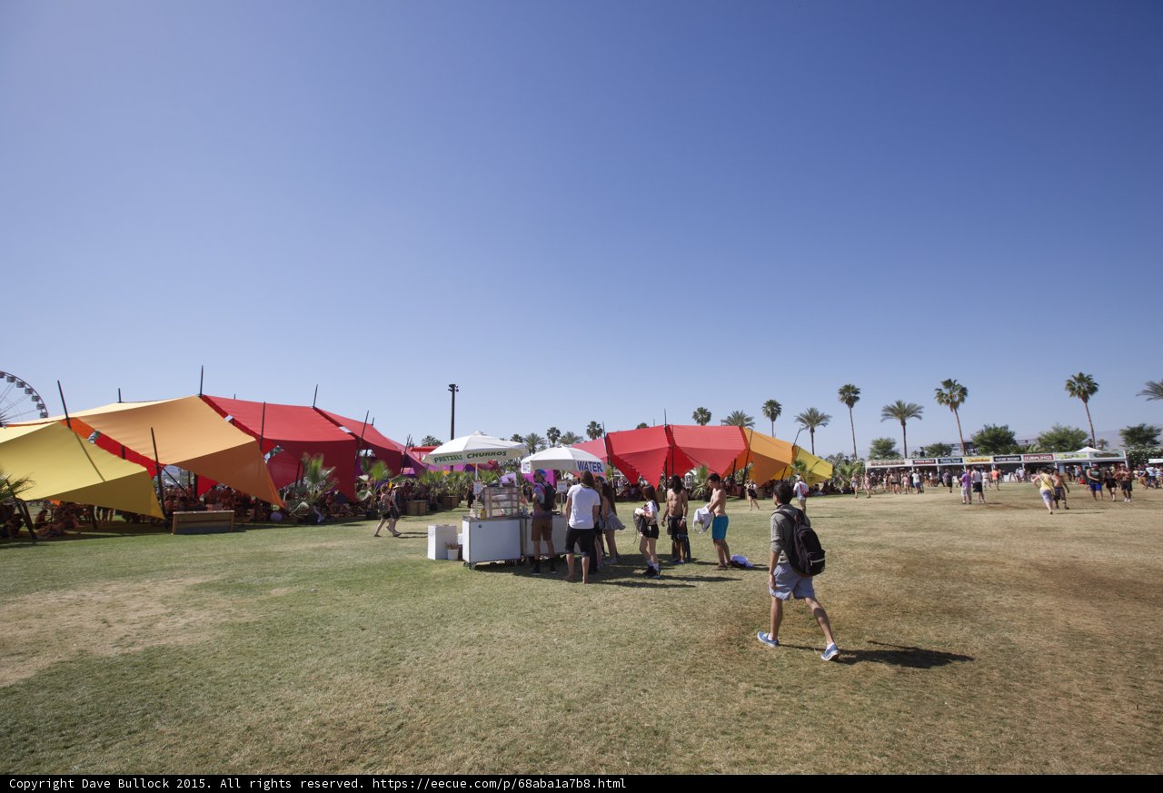 The Summer Oasis of Coachella
