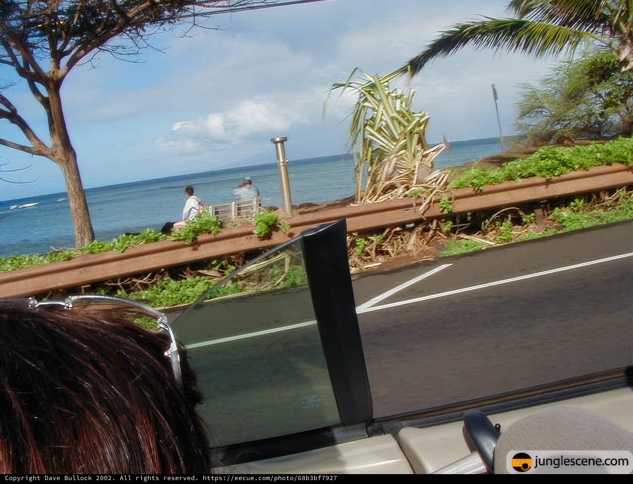 Traveling along the Hawaiian Coast
