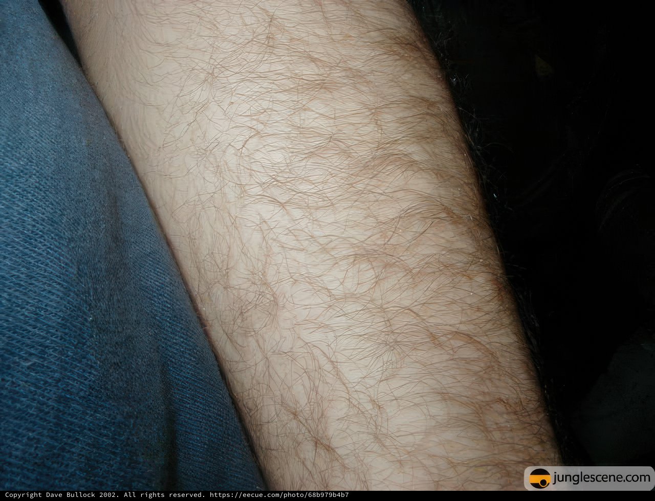 Hairy Arm on Denim Sleeve