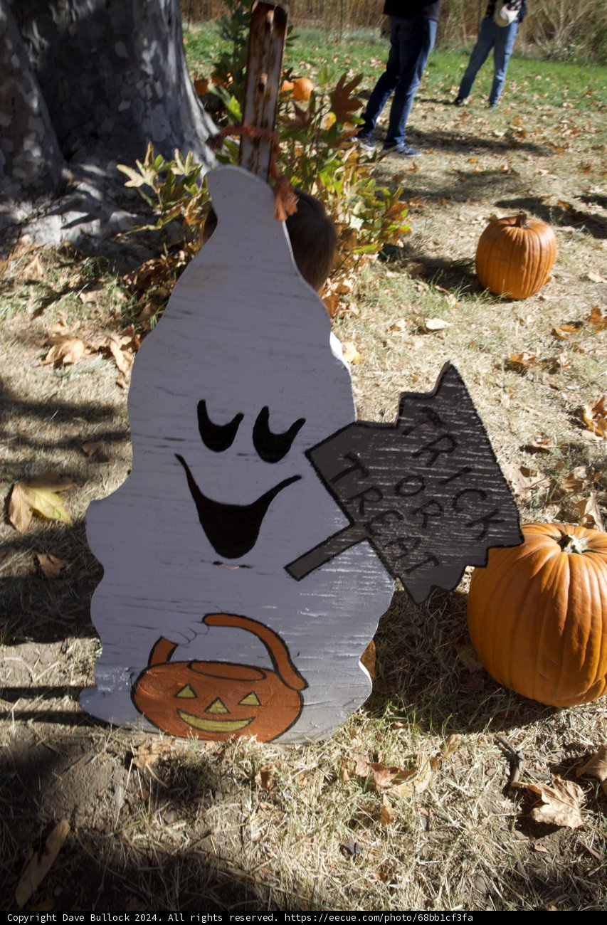 Pumpkin Patch Ghosts