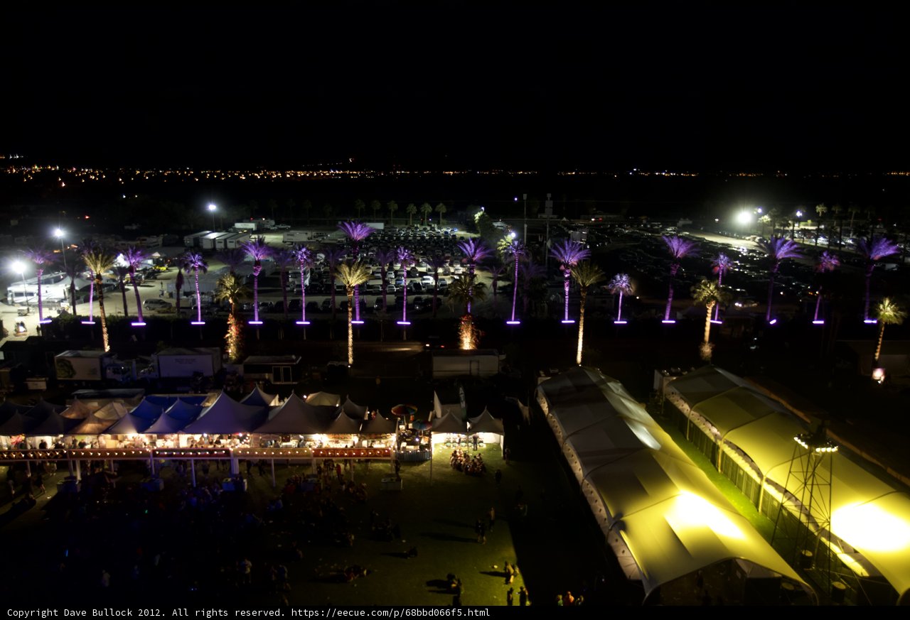 Urban Oasis at Night