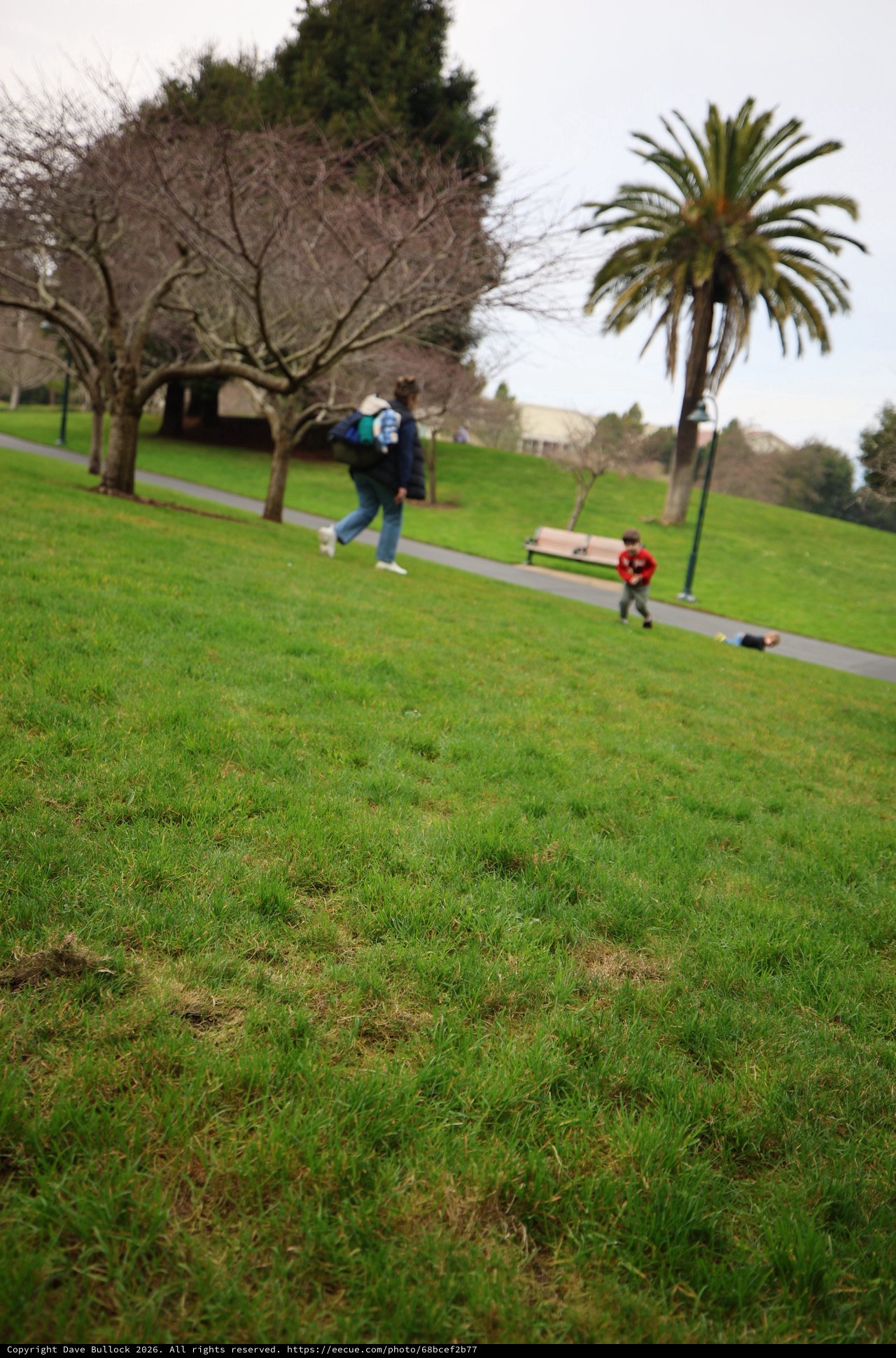 Hilltop Park Walk on Overcast Winter Day