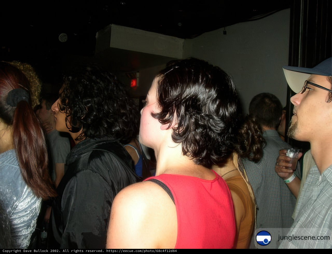 Nightlife Gathering
