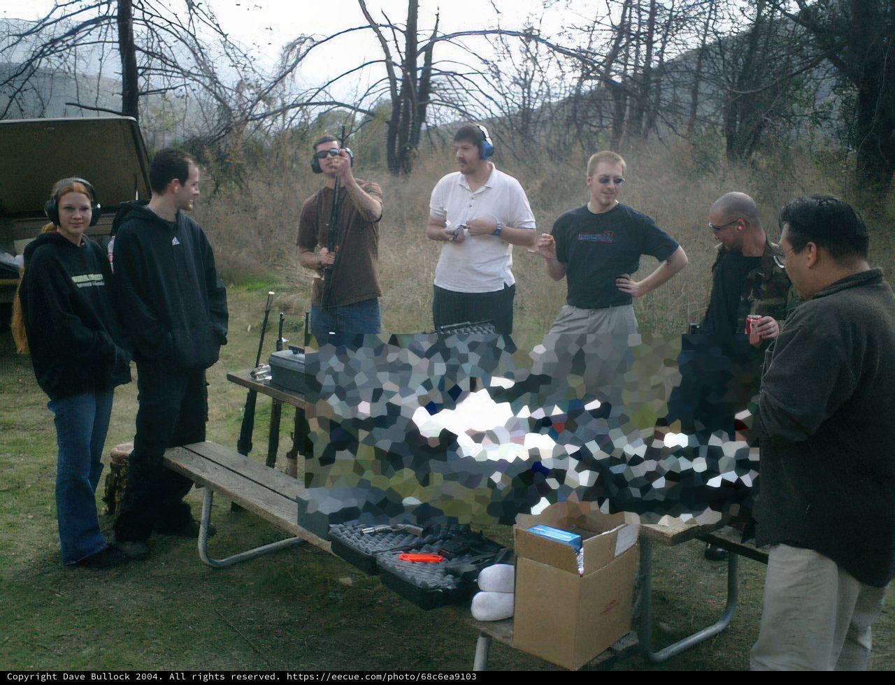 Backyard BBQ Gathering