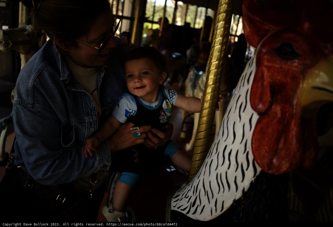 Carousel Delight: A Moment of Pure Joy