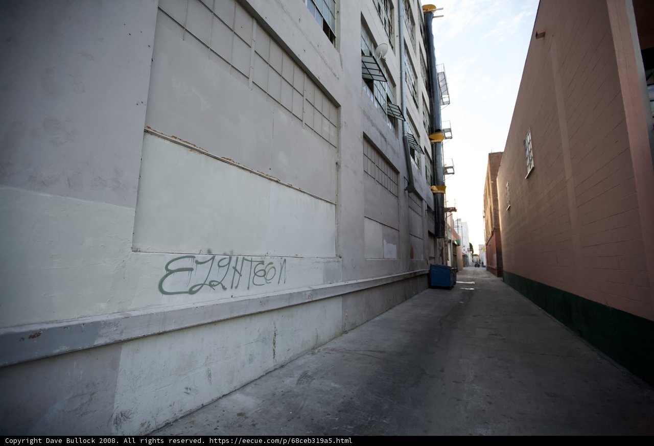 Urban Art in the Alleyway