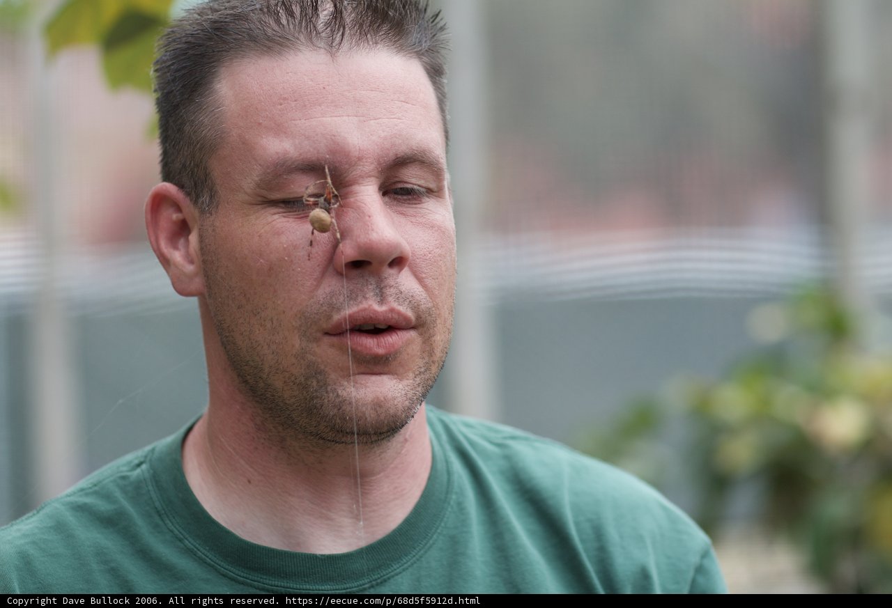 The Man with the Eye Patch