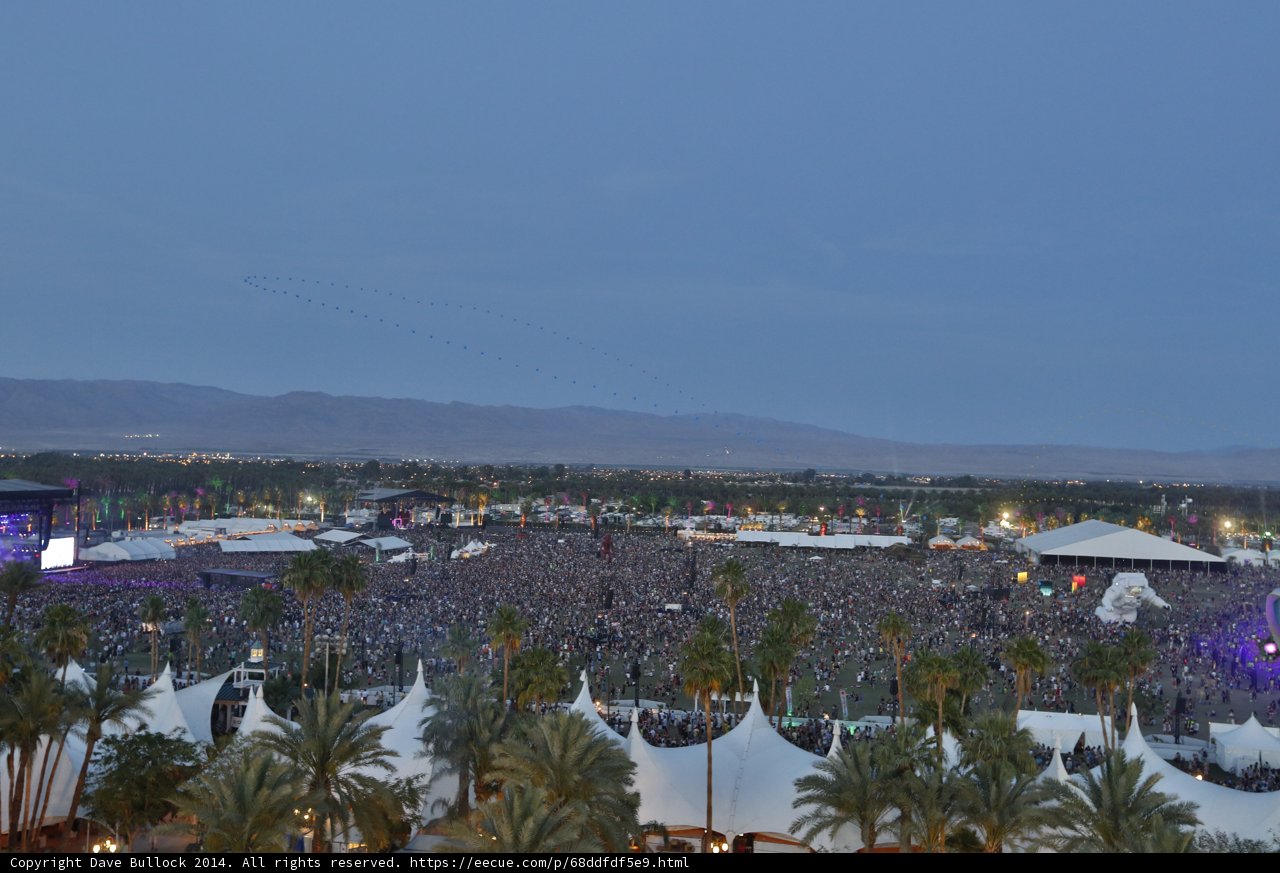 Tropical Vibes at Coachella Music Festival