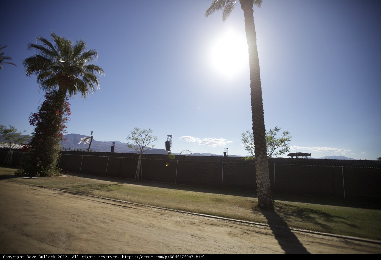Summer Vibes at Coachella