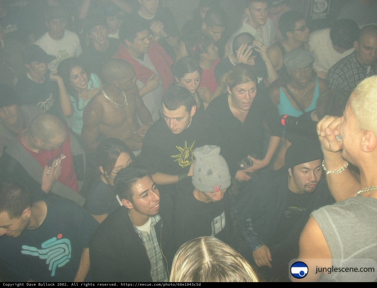 Nightlife Vibe