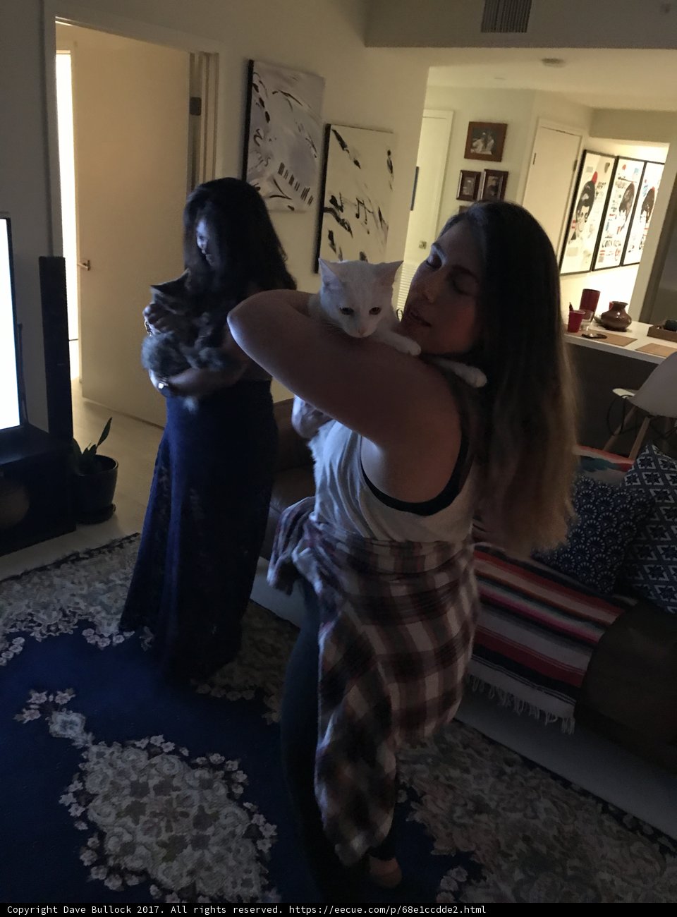 Women and Their Feline Companion in a Cozy Living Room