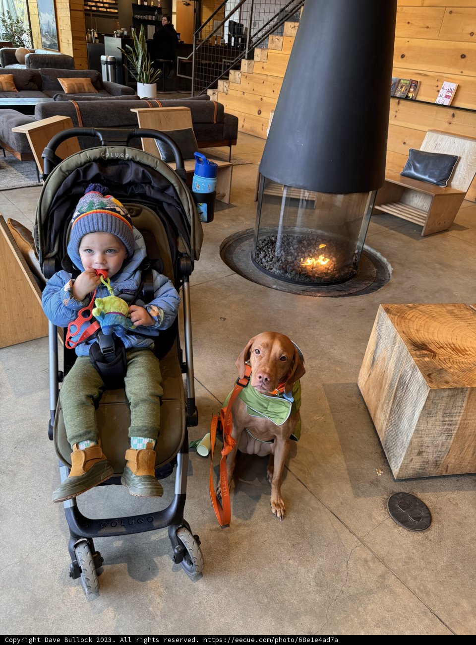 A Playful Afternoon: Baby Wesley and his Companion