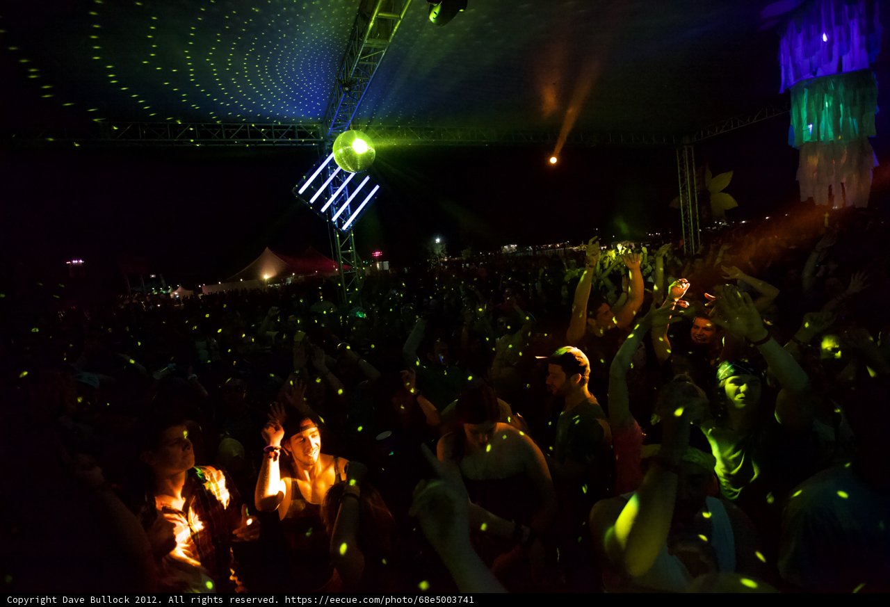 Neon Nightlife