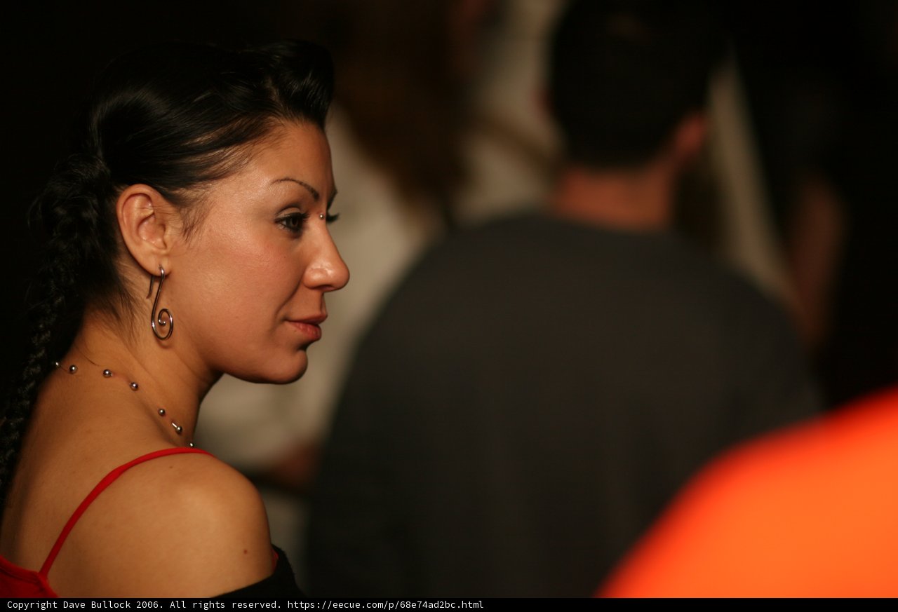 Elegant Earrings