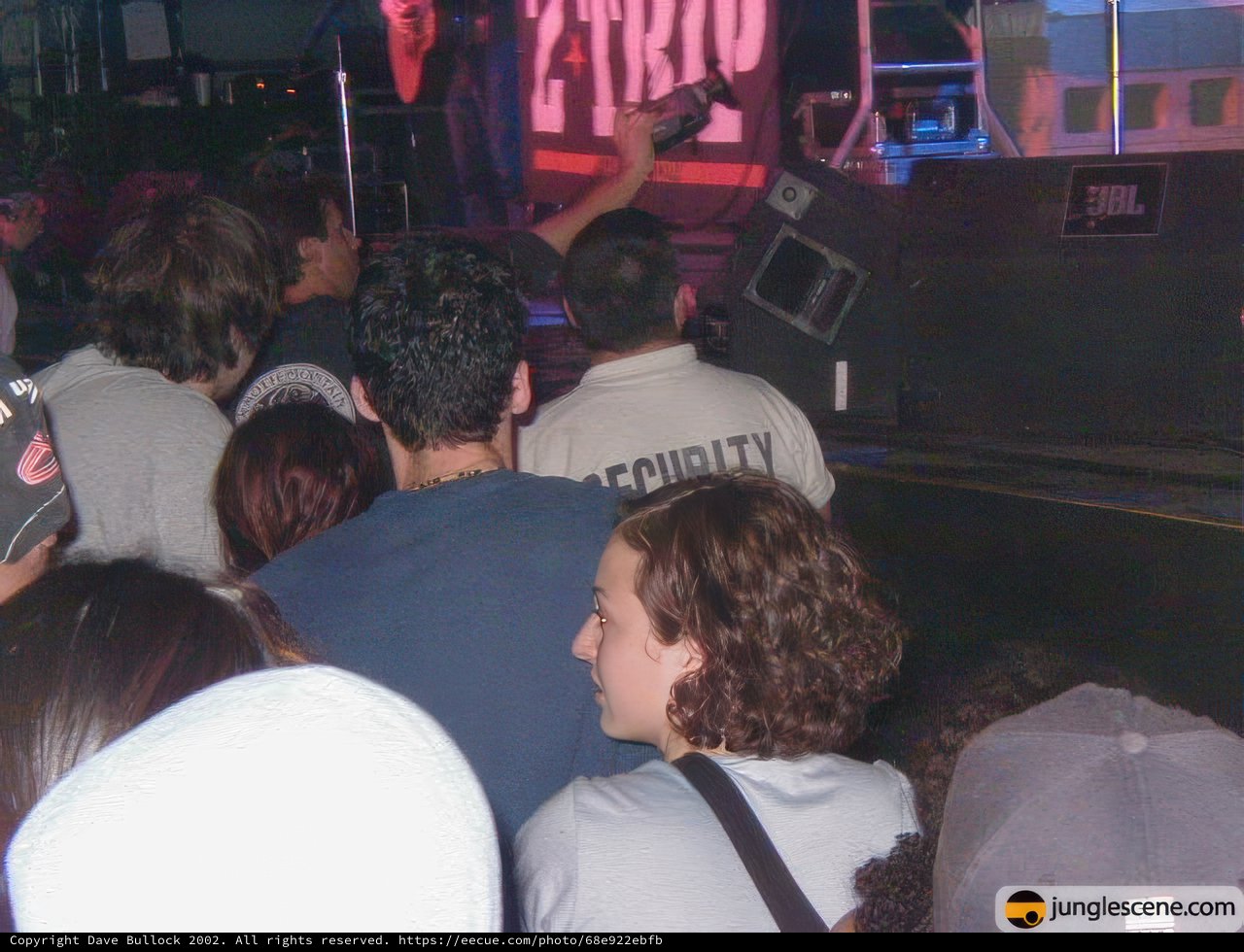 Nightclub Concert with Energetic Crowd