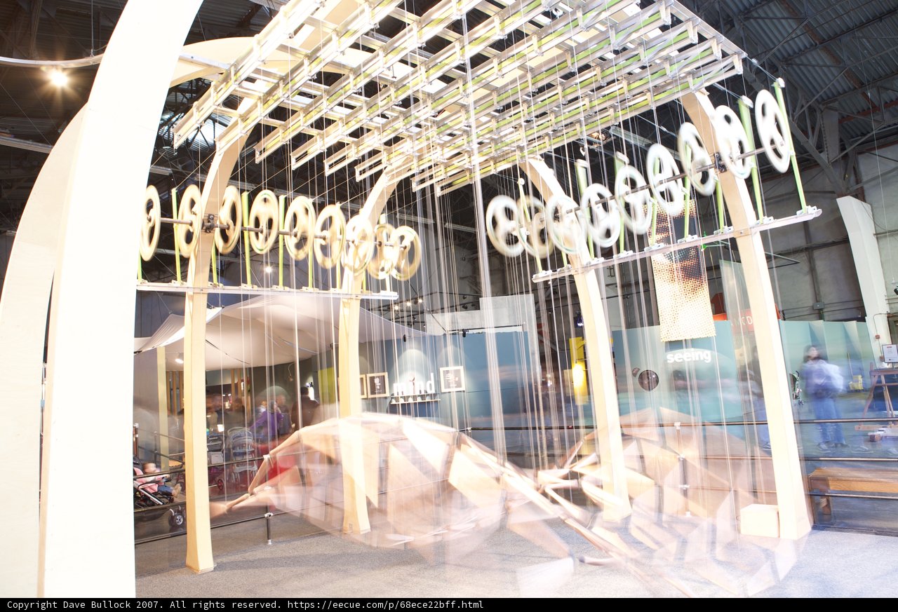 An Enormous Exhibit: A Large Animal in a Large Cage
