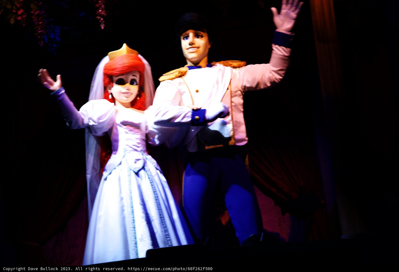 A Magical Moment at Disneyland
