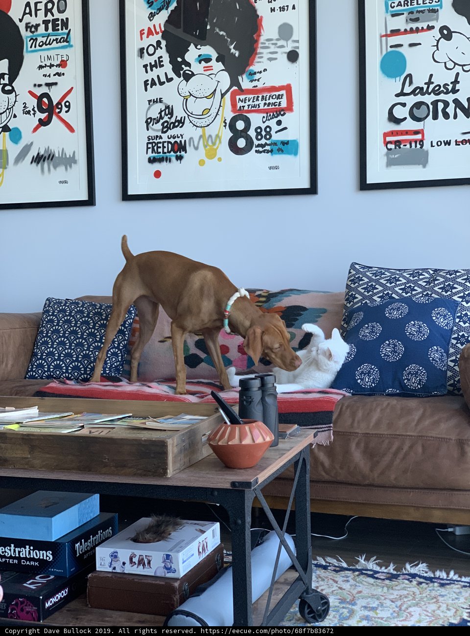 Playtime on the Table