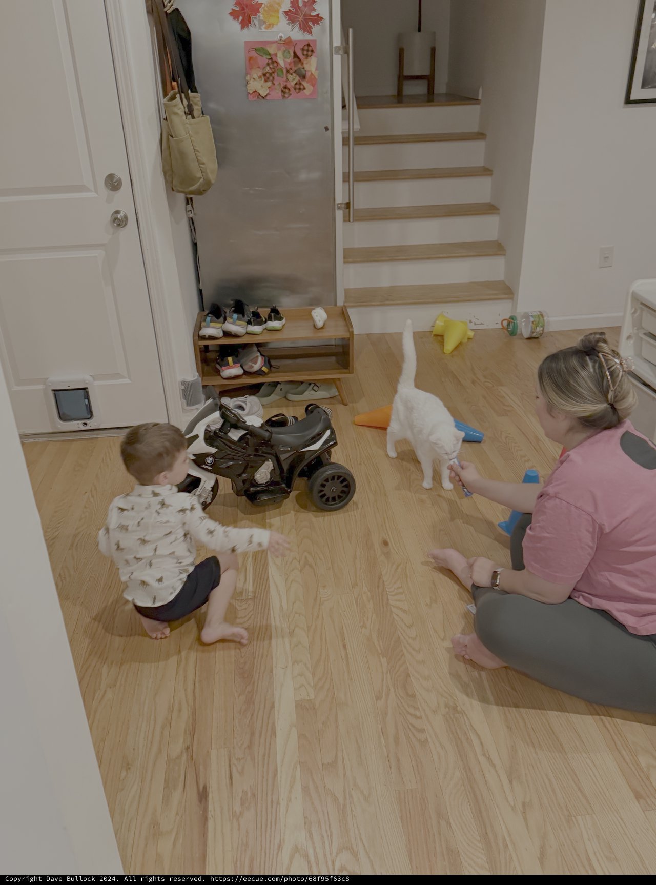 Family Playtime with Cat and Stroller Indoors