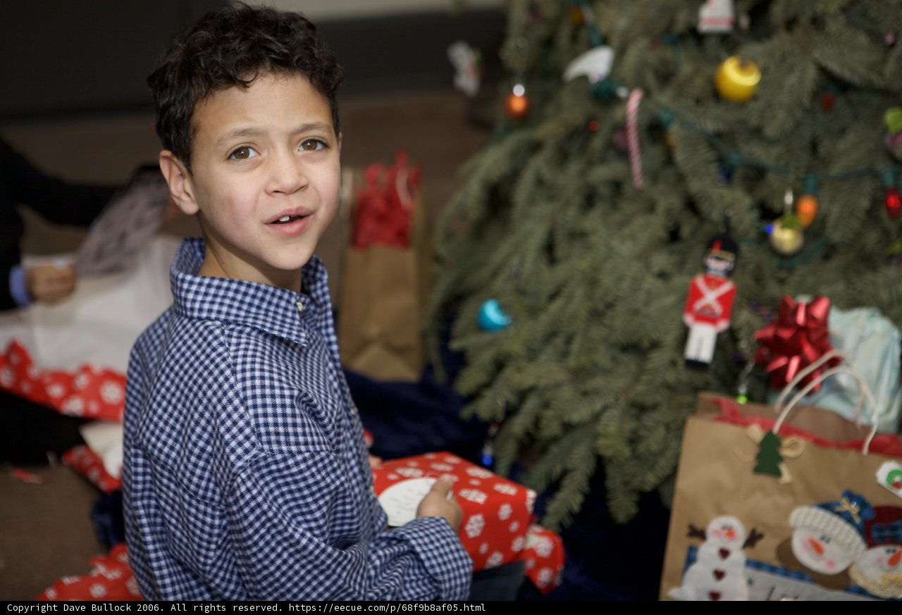 A Christmas Delight