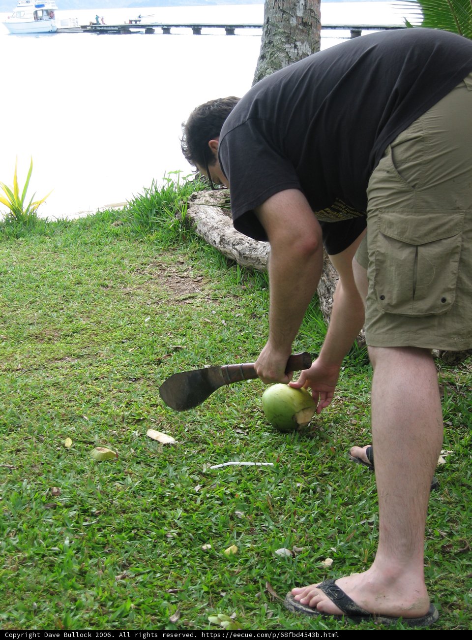 Coconut Cutting in Fiji